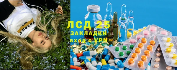 мескалин Богданович