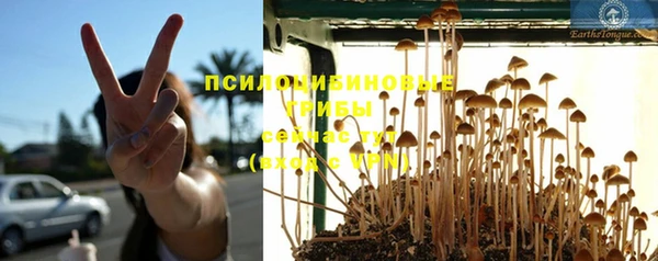 мескалин Богданович